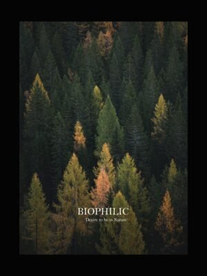 All-About-Mountains-Product-Biophilic