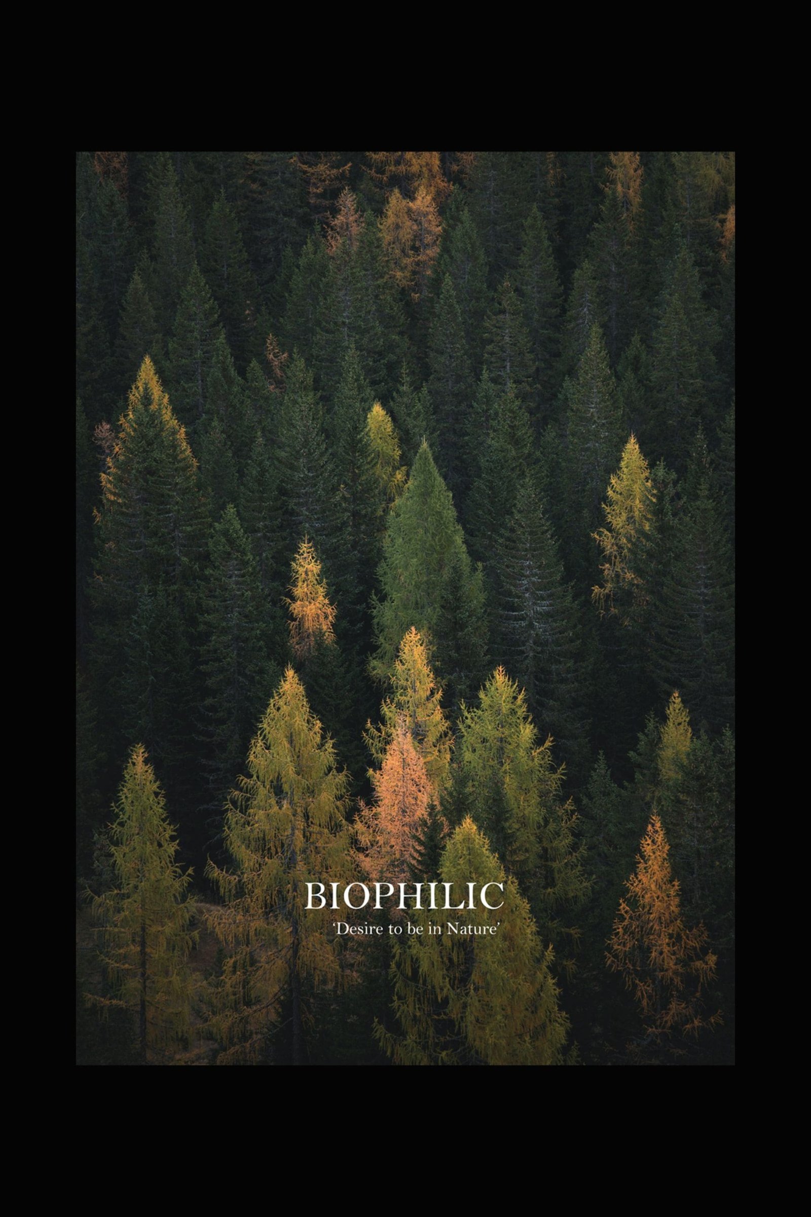 Biophilic |T-Shirt