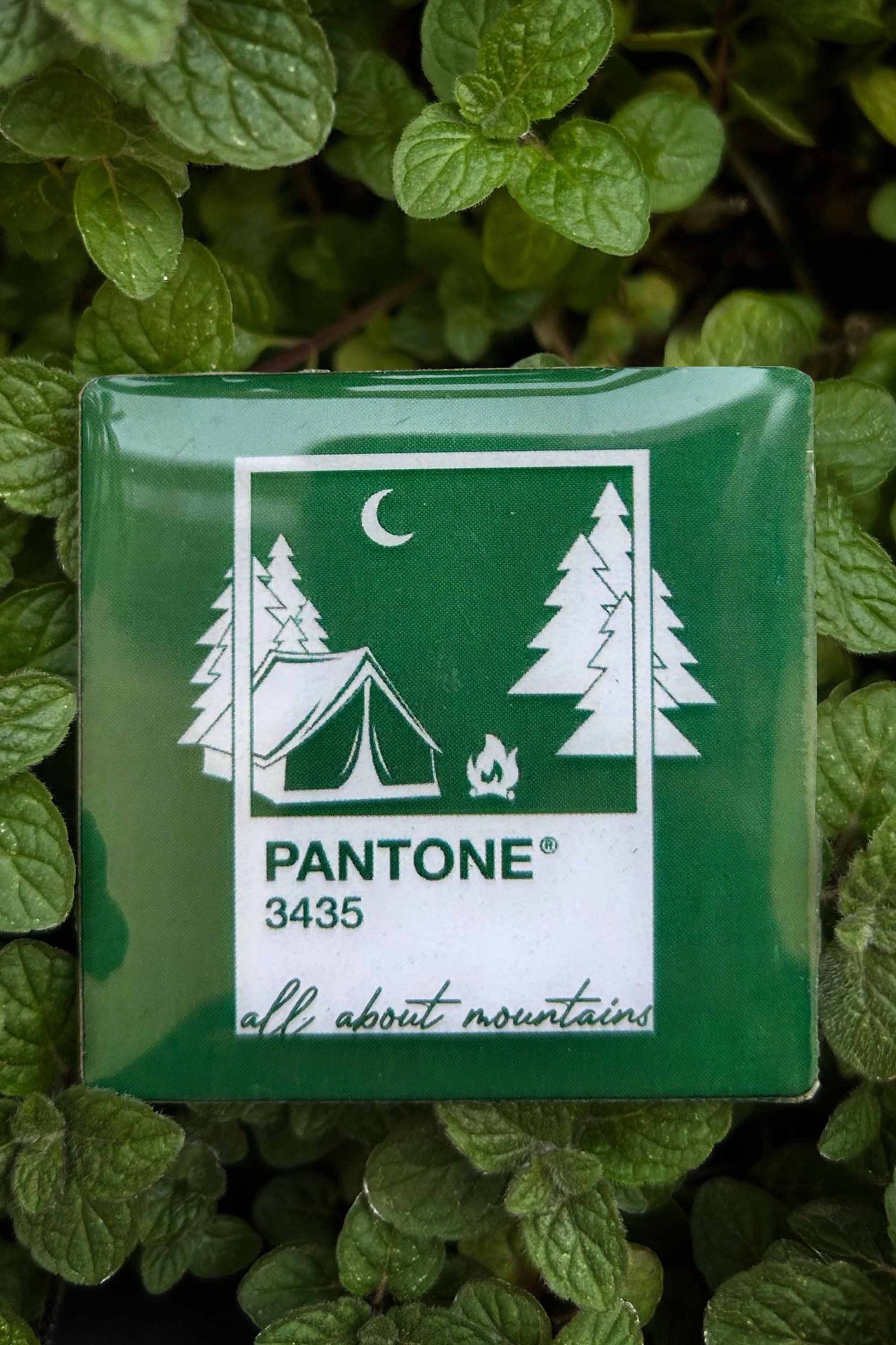 Pantone 3435 | High Gloss Acrylic Fridge Magnet